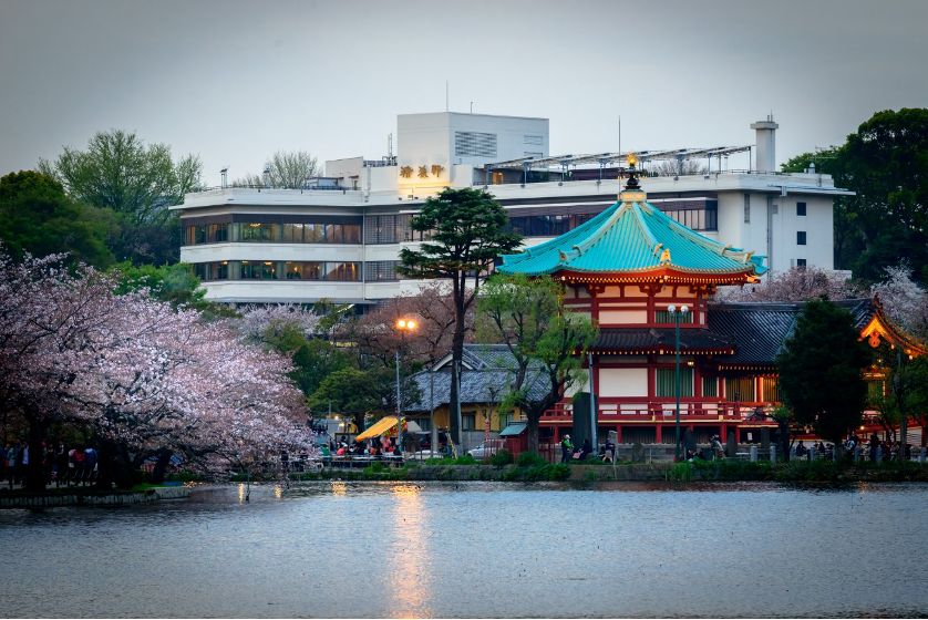 大学生は皆演劇を観て楽しんだ